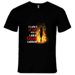 Flames Of Fire Ladies T Shirt Usa