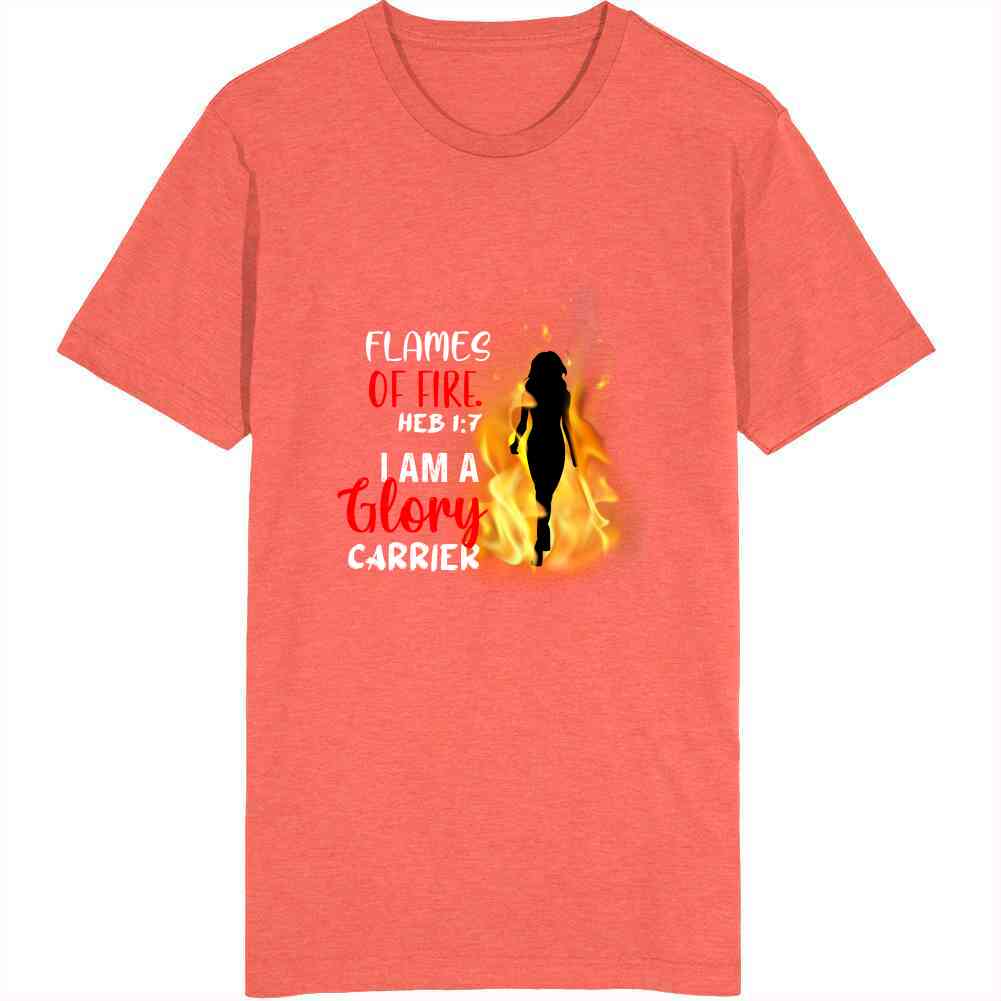 Flames Of Fire Ladies T Shirt Usa